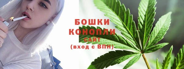 винт Ельня