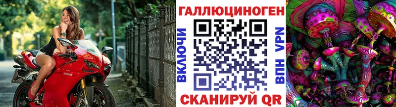 Галлюциногенные грибы Cubensis  закладка  Барыш 